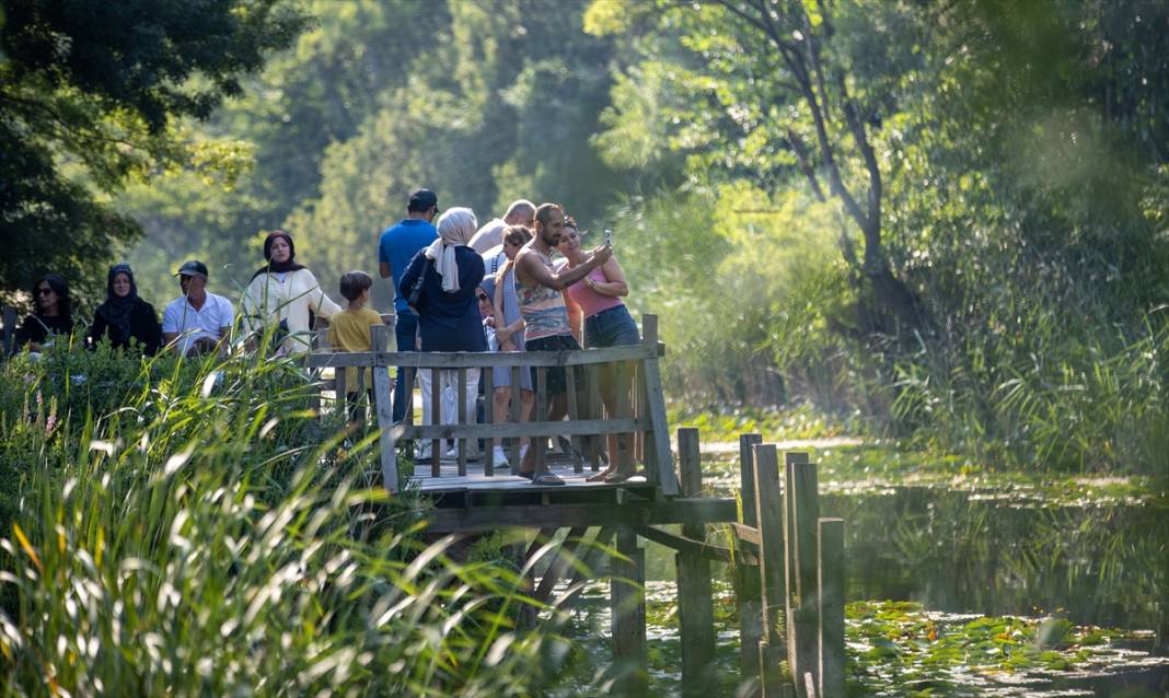 Türkiye’nin en büyük tek parça subasar ormanı 6